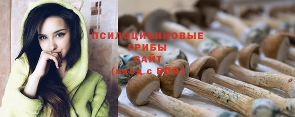 трава Белокуриха