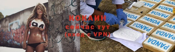 трава Белокуриха